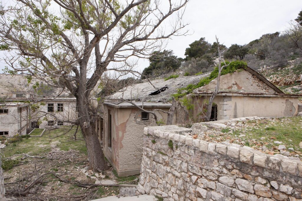 Eingestürztes Steinhaus neben einem Baum