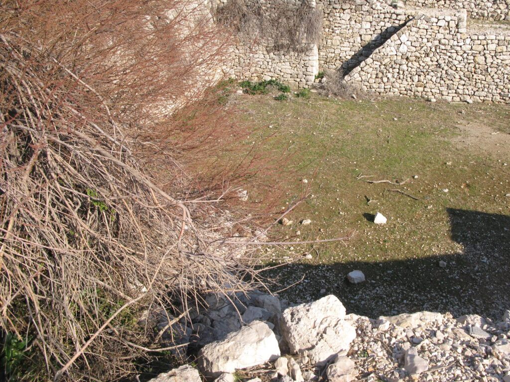 Mit Gras und Sträuchern bewachsener Grund der Grube
