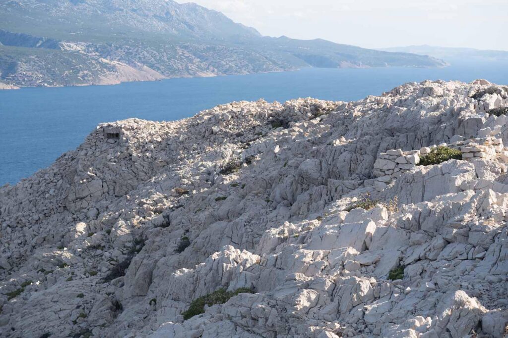 Felsige Küste von Goli otok mit Meer und Bergen im Hintergrund